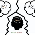 Succeeding at Other Minds