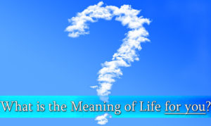 what-is-the-meaning-of-life