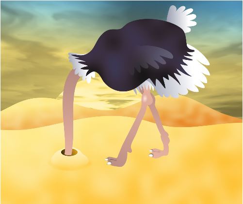 Cartoon Of ostrich sticking head in the sand