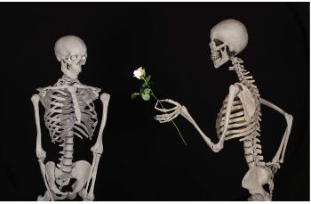 skeleton handing rose over to another skeleton