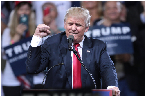 Donald Trump WIth Fist Raised