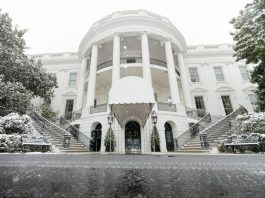 Gen AI Deregulation